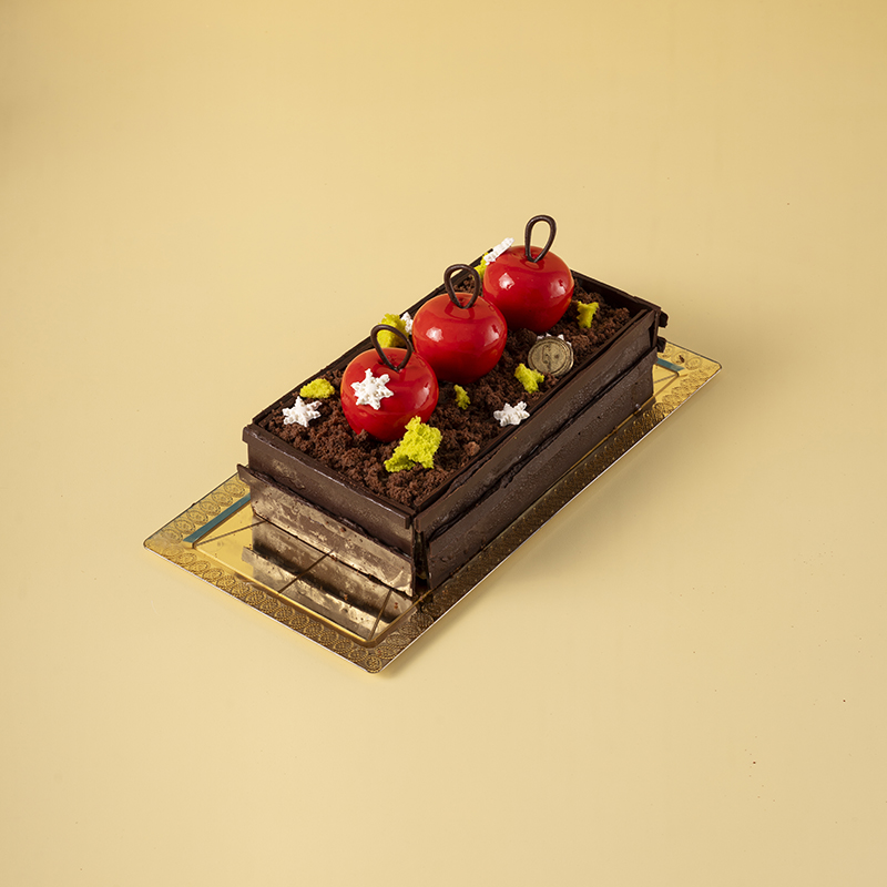 Bûche Noisettissimo (8-10 pers.)