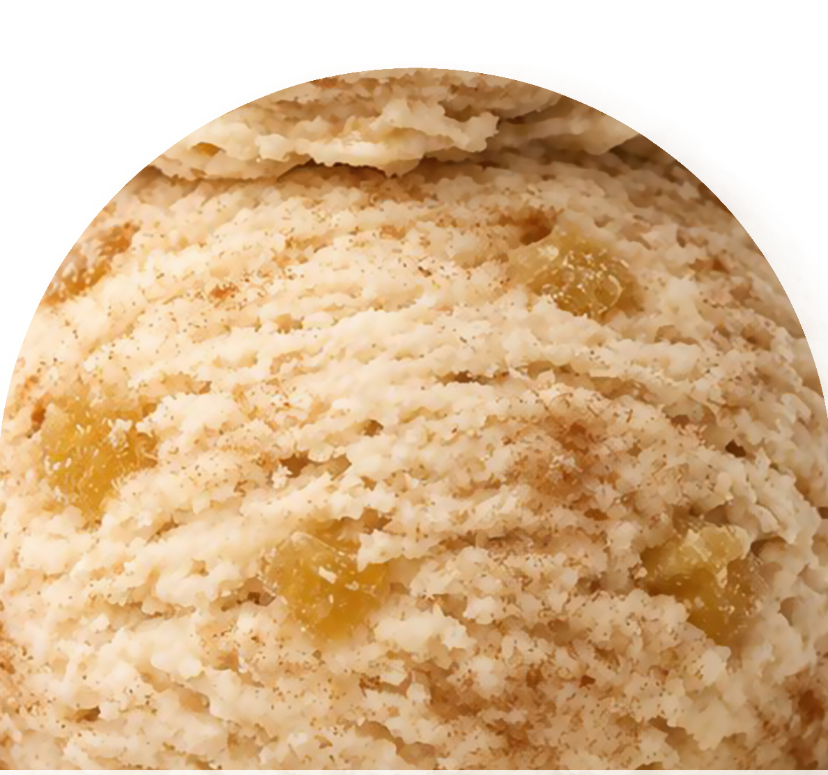 Cannelle & Gingembre